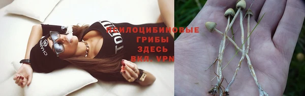 стафф Пересвет