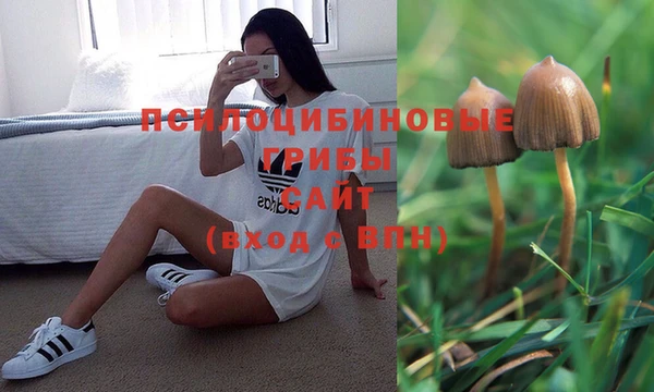 хмурый Покров