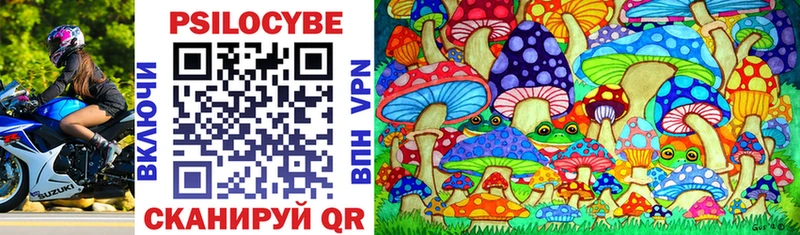 Галлюциногенные грибы Psilocybine cubensis  Серафимович 